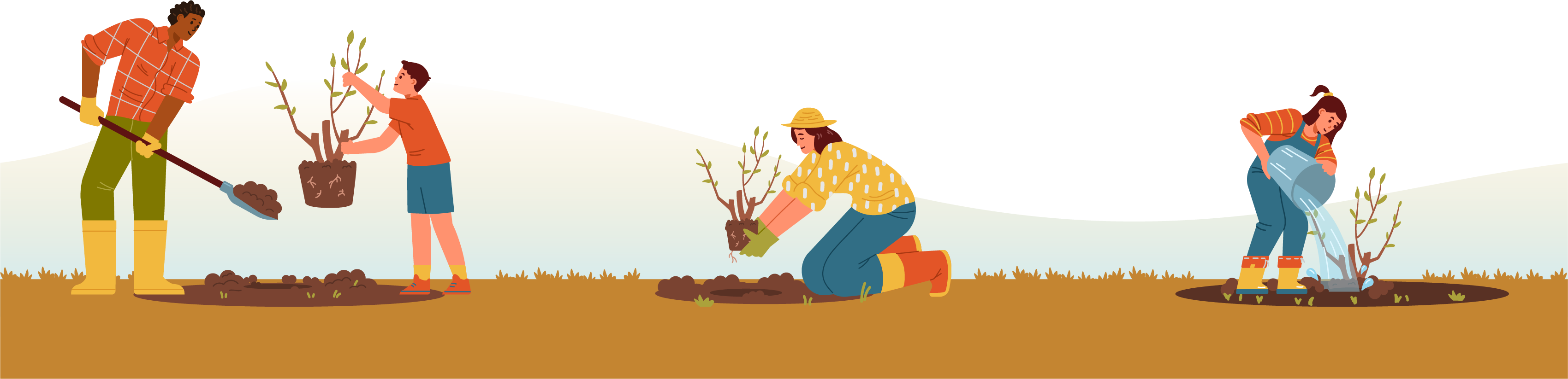 BG illustration showing steps of planting tree